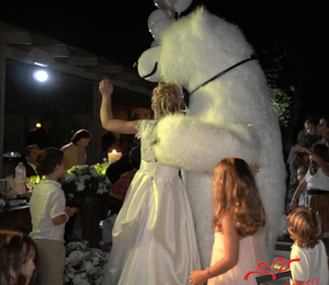 The White Polar Bear came to the wedding to deliver the gift to the bride and groom. Gift Delivery. Wedding gift. Polar bear surprise. White Polar Bear at the wedding.
